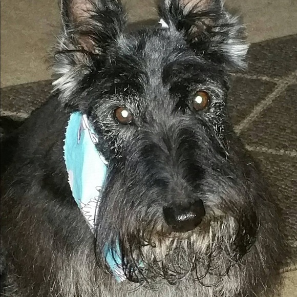 ❤️The love of my life RIP 12/2/18❤️ - Picture 4 of 7